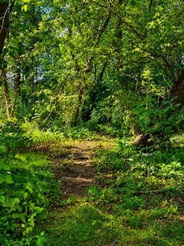 6545 M-89 Highway, Richland, MI 49083