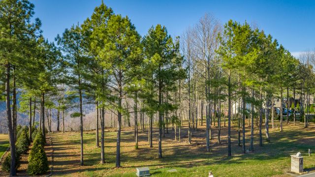 0 Cumberland Circle Sv162, Jasper, TN 37347