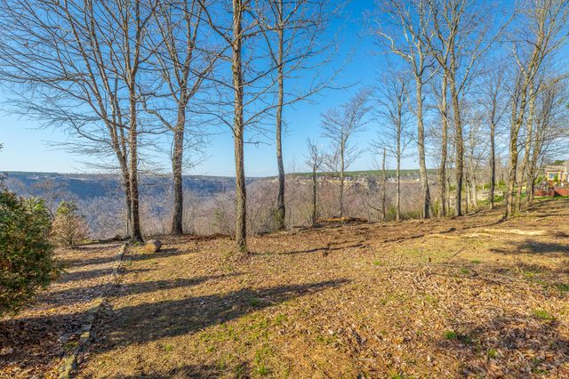 0 Cumberland Circle Sv162, Jasper, TN 37347