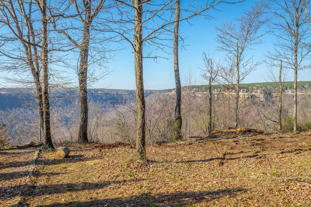 0 Cumberland Circle Sv162, Jasper, TN 37347