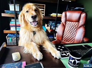 290 River Road, North Arlington, NJ 07031