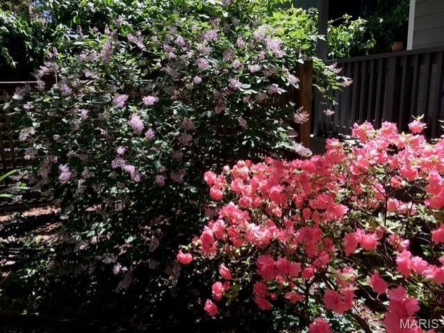 4527 Maryland Avenue, St Louis, MO 63108