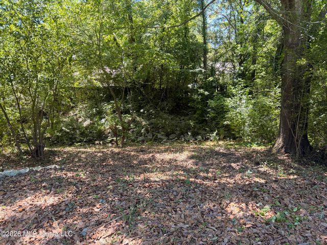 2229 Scanlon Drive, Jackson, MS 39204