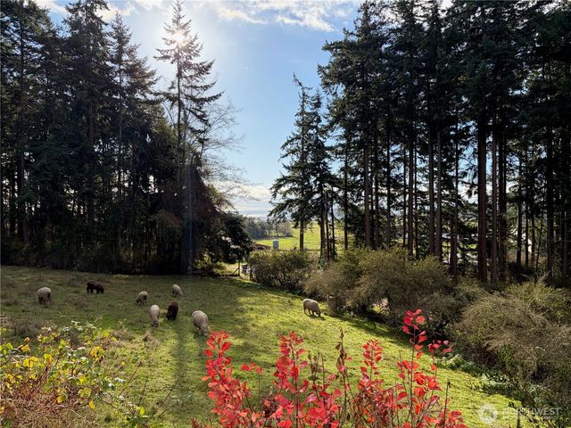 651 Long Ears Way, Coupeville, WA 98239