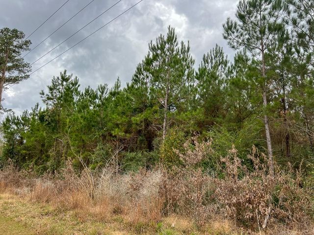 3 Highway 87, Newton, TX 75966