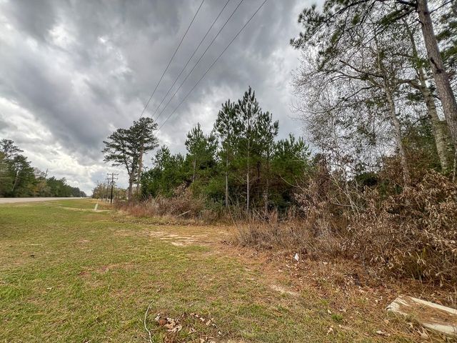 3 Highway 87, Newton, TX 75966