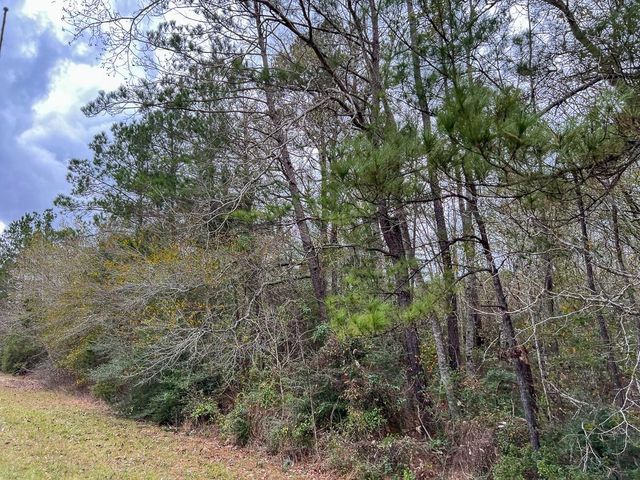 3 Highway 87, Newton, TX 75966