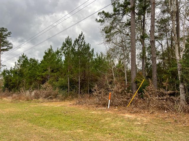 3 Highway 87, Newton, TX 75966