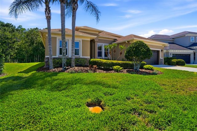 3320 GRASSGLEN PLACE, Wesley Chapel, FL 33544