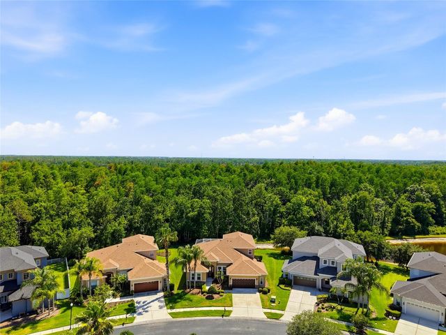 3320 GRASSGLEN PLACE, Wesley Chapel, FL 33544