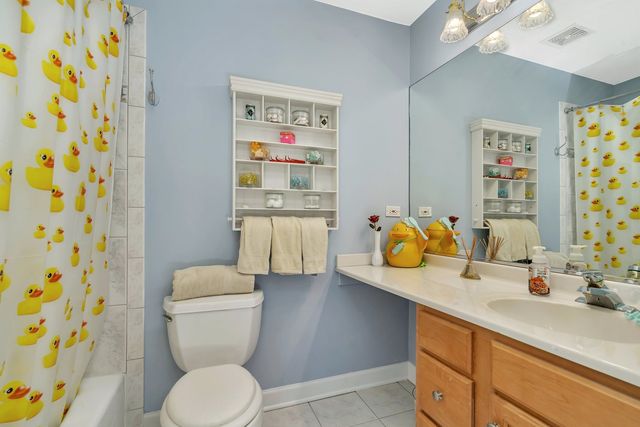 13121 Wood Duck Drive, Plainfield, IL 60585