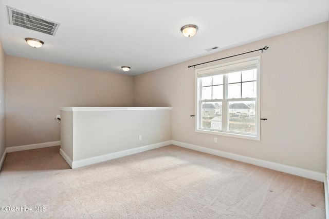 111 Saw Grass Drive, Maple Hill, NC 28454