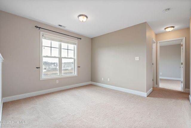 111 Saw Grass Drive, Maple Hill, NC 28454