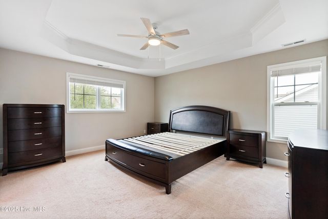 111 Saw Grass Drive, Maple Hill, NC 28454