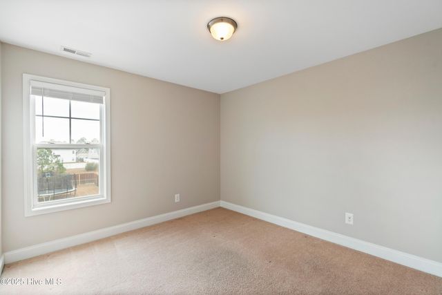 111 Saw Grass Drive, Maple Hill, NC 28454