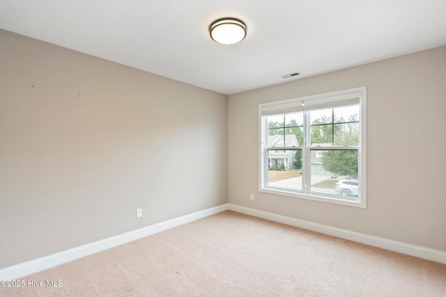 111 Saw Grass Drive, Maple Hill, NC 28454