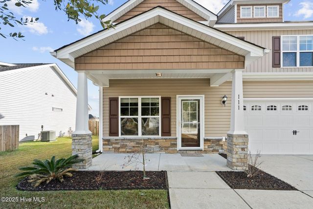 111 Saw Grass Drive, Maple Hill, NC 28454