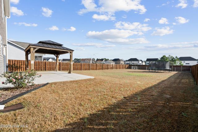 111 Saw Grass Drive, Maple Hill, NC 28454