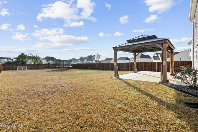 111 Saw Grass Drive, Maple Hill, NC 28454