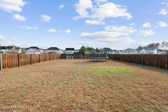 111 Saw Grass Drive, Maple Hill, NC 28454