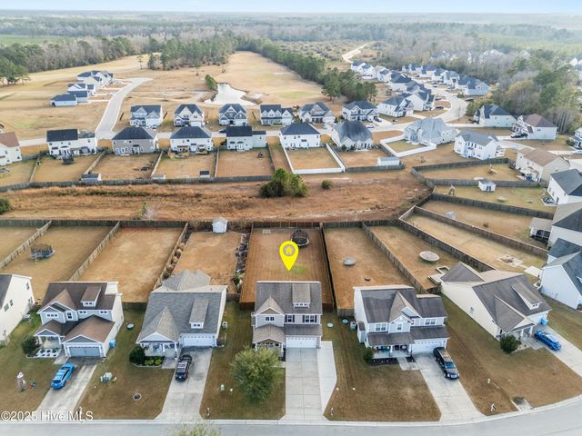 111 Saw Grass Drive, Maple Hill, NC 28454