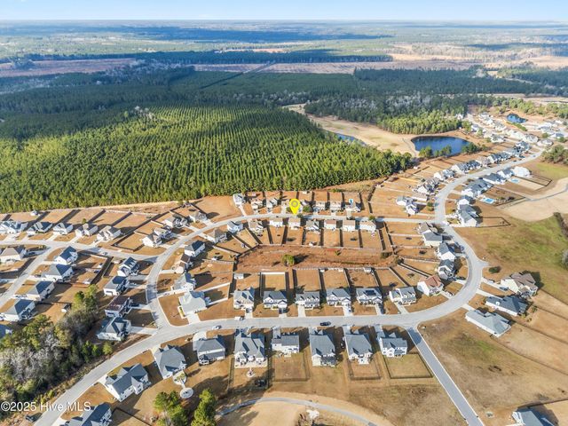 111 Saw Grass Drive, Maple Hill, NC 28454