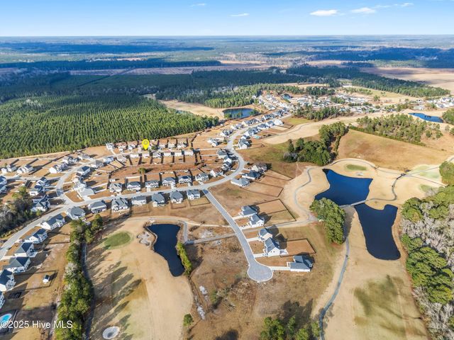 111 Saw Grass Drive, Maple Hill, NC 28454