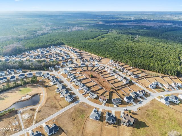 111 Saw Grass Drive, Maple Hill, NC 28454