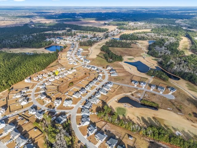 111 Saw Grass Drive, Maple Hill, NC 28454