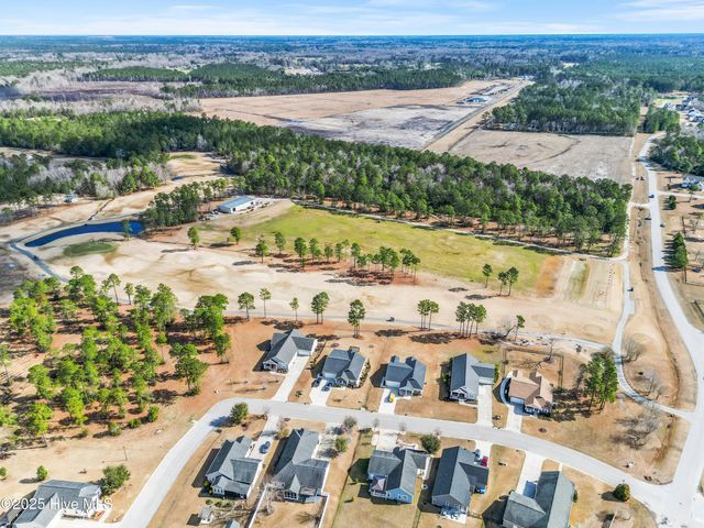 111 Saw Grass Drive, Maple Hill, NC 28454