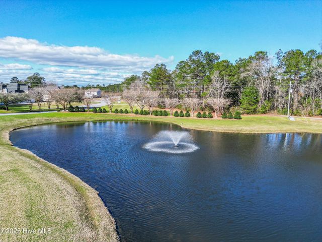 111 Saw Grass Drive, Maple Hill, NC 28454