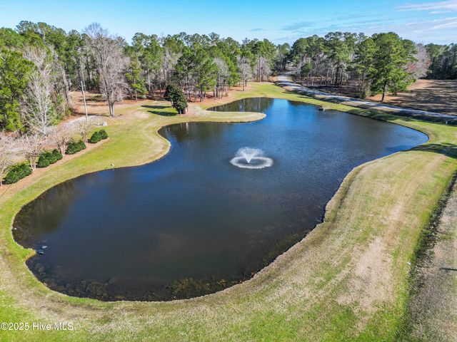 111 Saw Grass Drive, Maple Hill, NC 28454