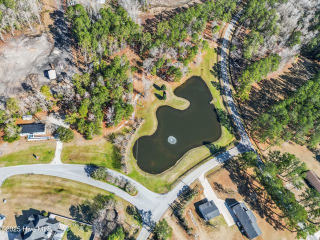 111 Saw Grass Drive, Maple Hill, NC 28454