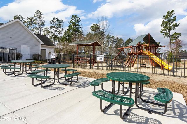 111 Saw Grass Drive, Maple Hill, NC 28454