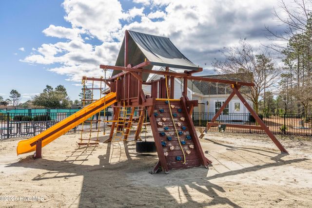 111 Saw Grass Drive, Maple Hill, NC 28454