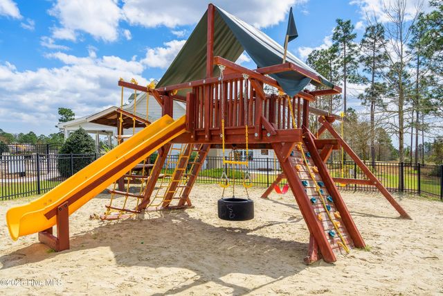 111 Saw Grass Drive, Maple Hill, NC 28454