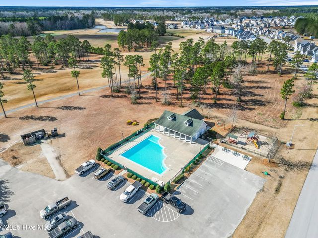 111 Saw Grass Drive, Maple Hill, NC 28454