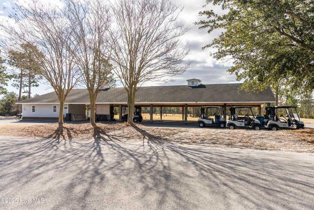 111 Saw Grass Drive, Maple Hill, NC 28454