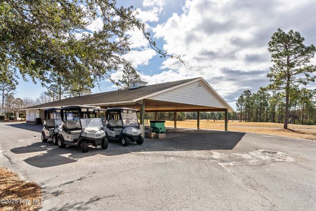 111 Saw Grass Drive, Maple Hill, NC 28454