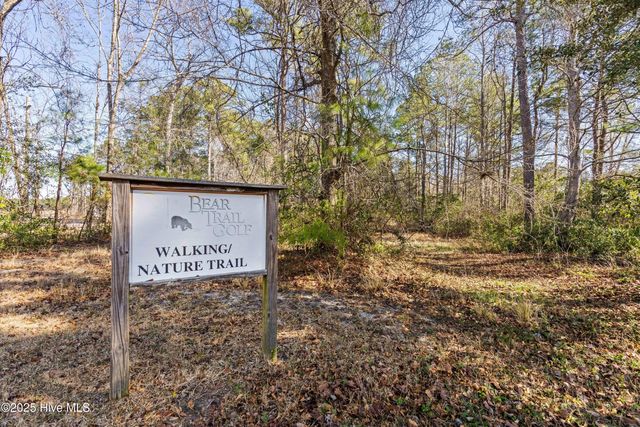 111 Saw Grass Drive, Maple Hill, NC 28454