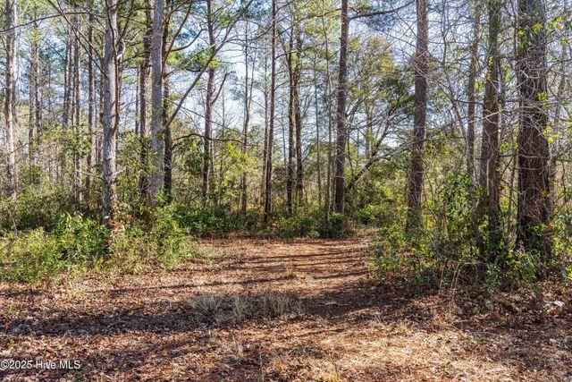 111 Saw Grass Drive, Maple Hill, NC 28454