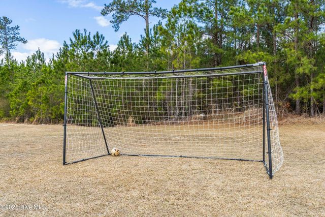 111 Saw Grass Drive, Maple Hill, NC 28454