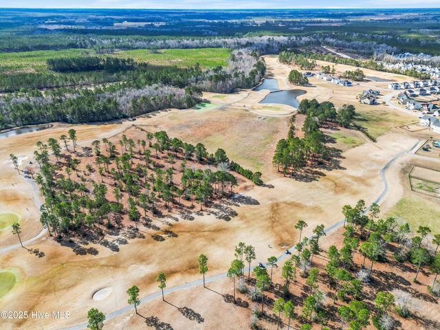 111 Saw Grass Drive, Maple Hill, NC 28454