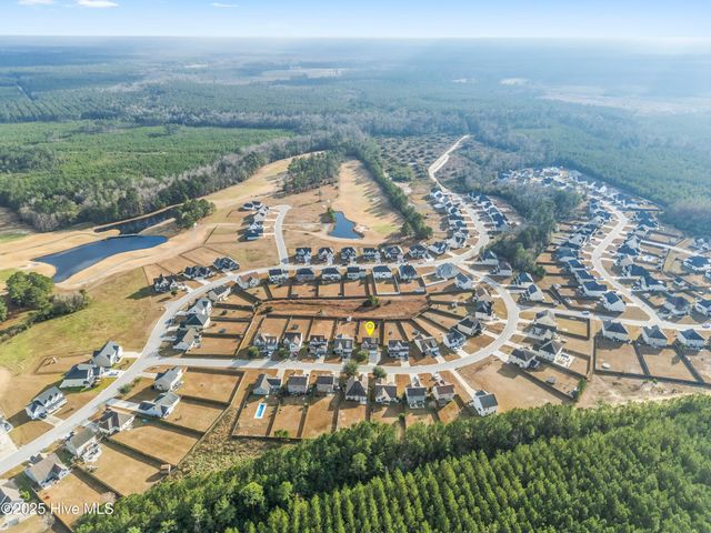 111 Saw Grass Drive, Maple Hill, NC 28454