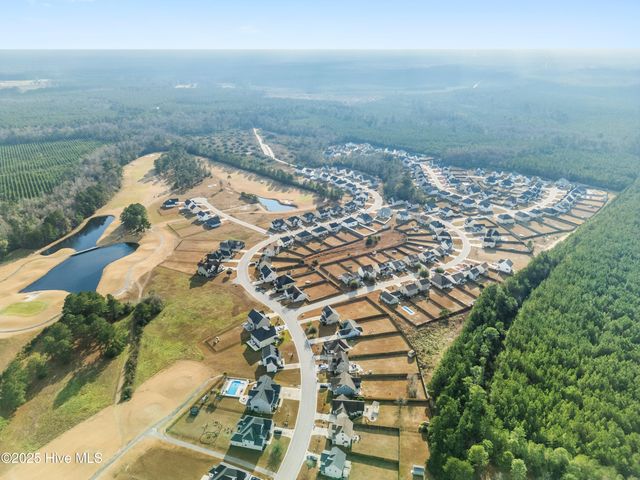 111 Saw Grass Drive, Maple Hill, NC 28454