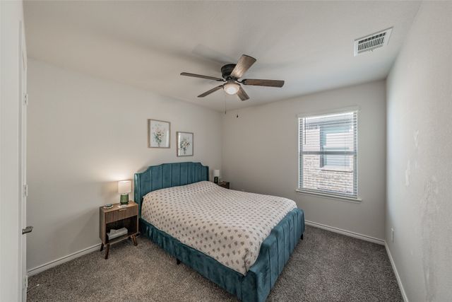 317 Willowmore Drive, Little Elm, TX 75068