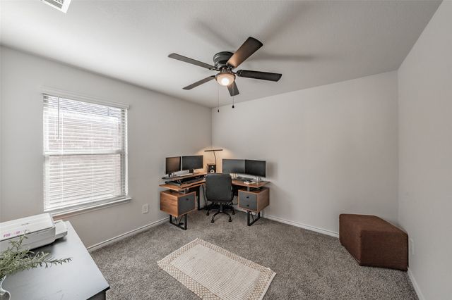 317 Willowmore Drive, Little Elm, TX 75068
