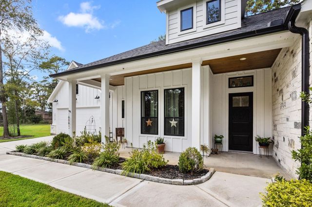 15113 Paradise Court, Willis, TX 77318