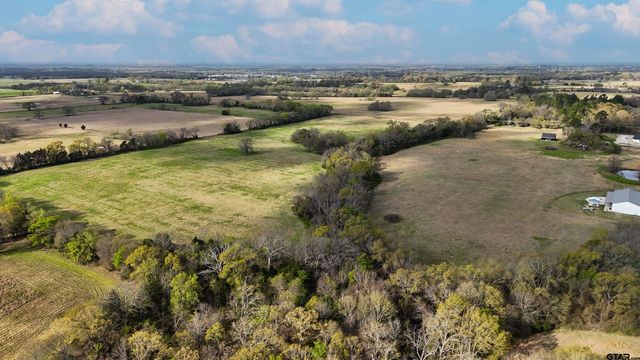 TBD County Rd 3150, Emory, TX 75440