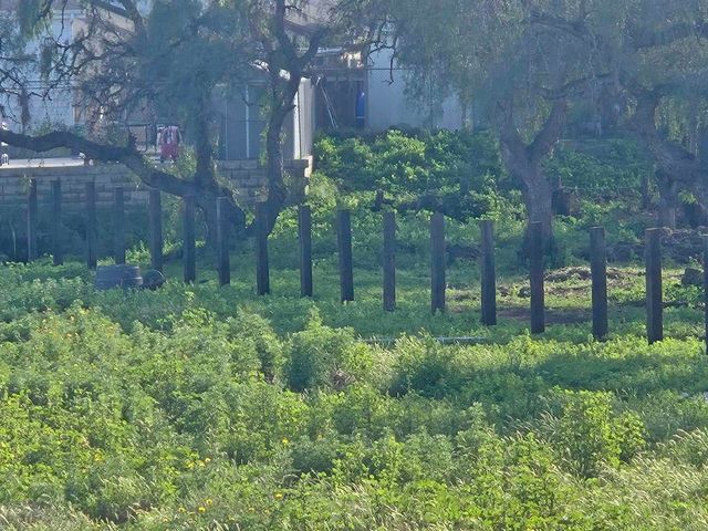 2205 Leon Avenue, San Diego, CA 92154